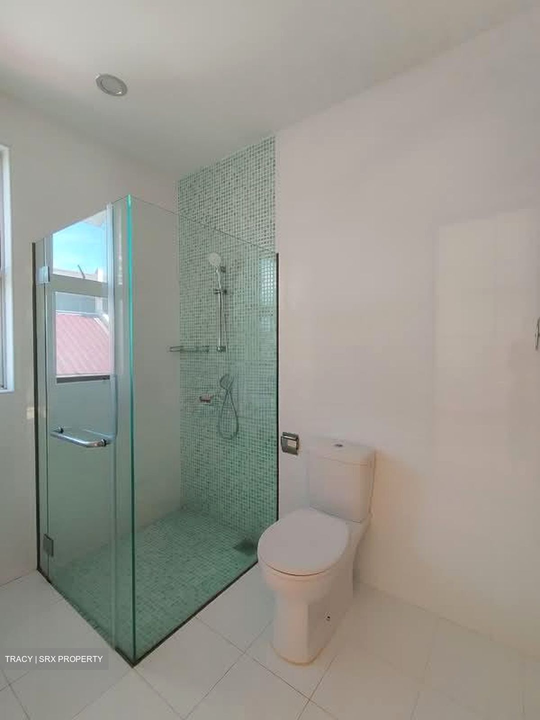 Mount Sinai (D10), Semi-Detached #554242801